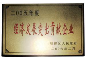 經(jīng)濟發(fā)展突出貢獻